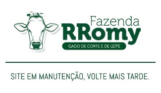 Site em manutenção